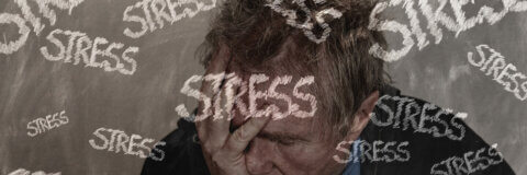 Stress